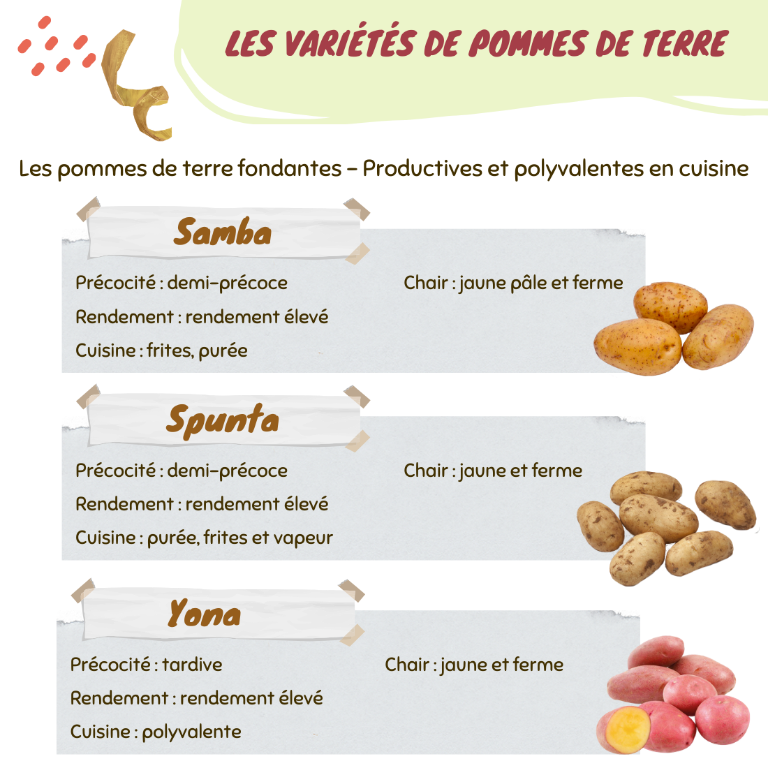 Comment Choisir Ses Pommes De Terre